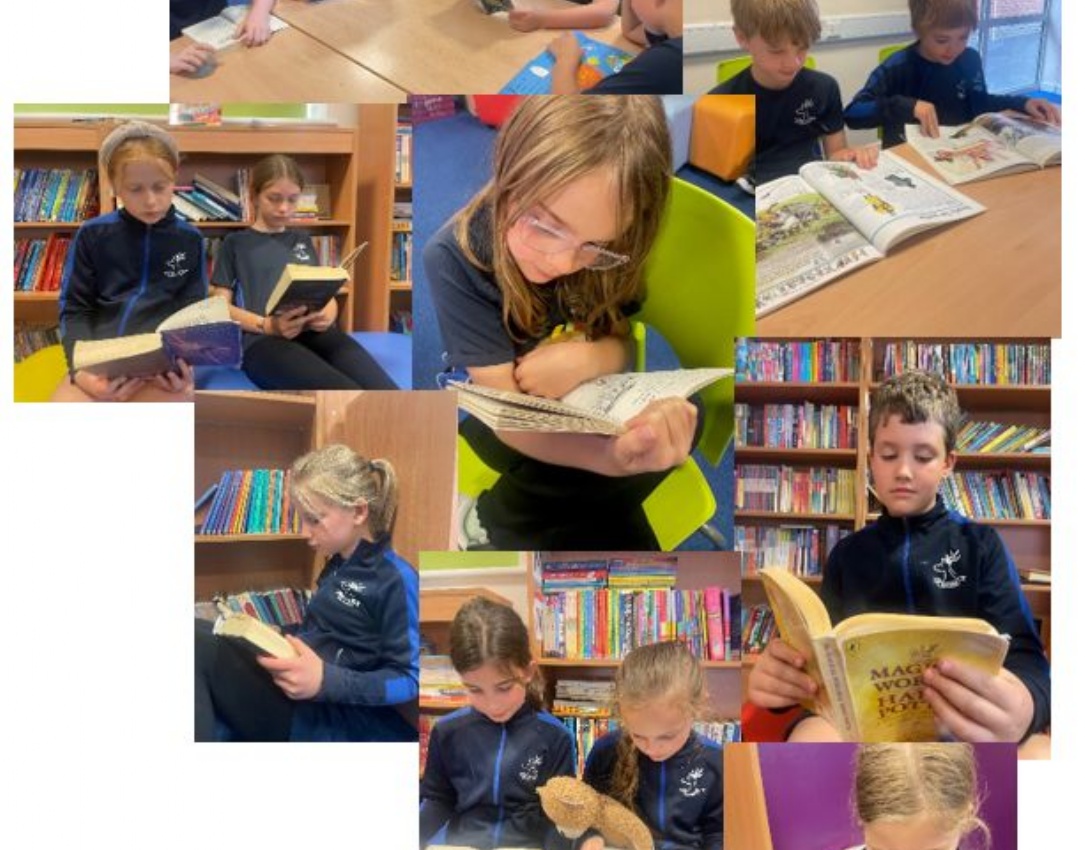 Compilation of photographs of children using the school library.