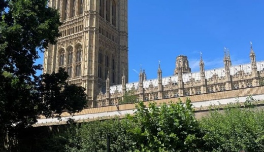 Photograph of the school counsellors in front of the Houses of Parliament.